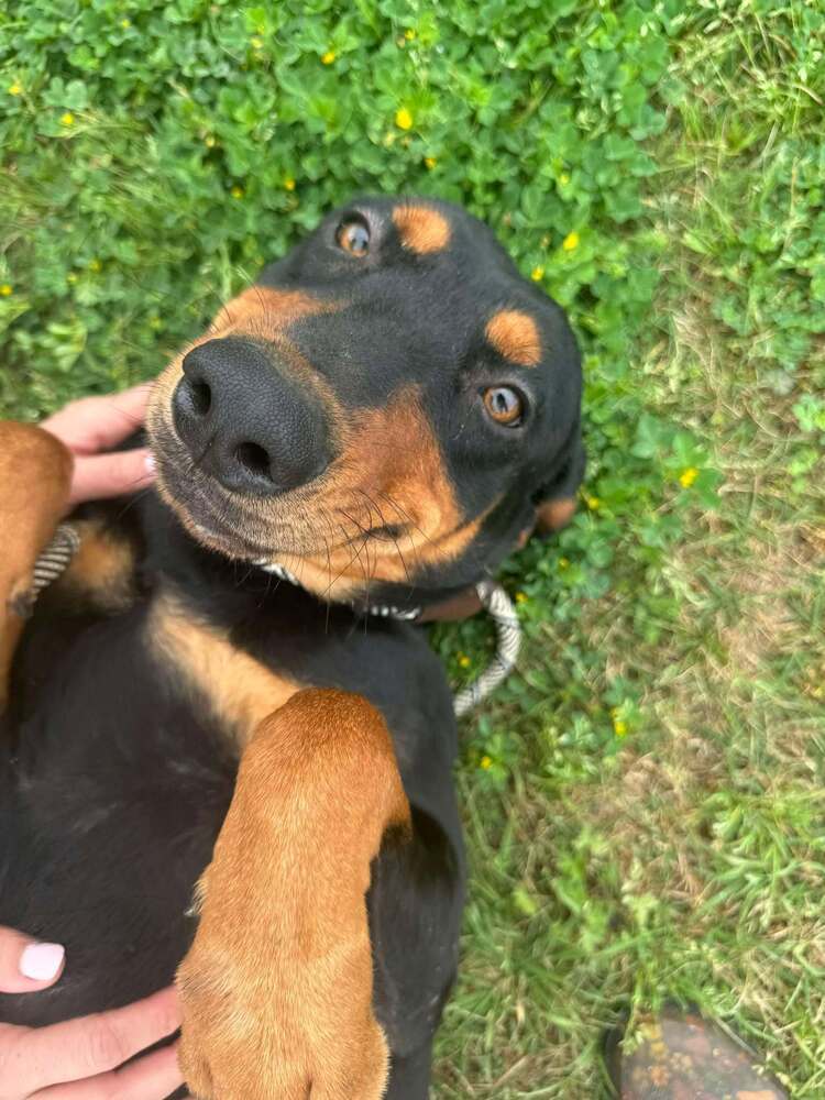Cash