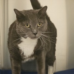 Sebastian