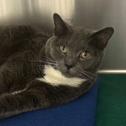 Sebastian