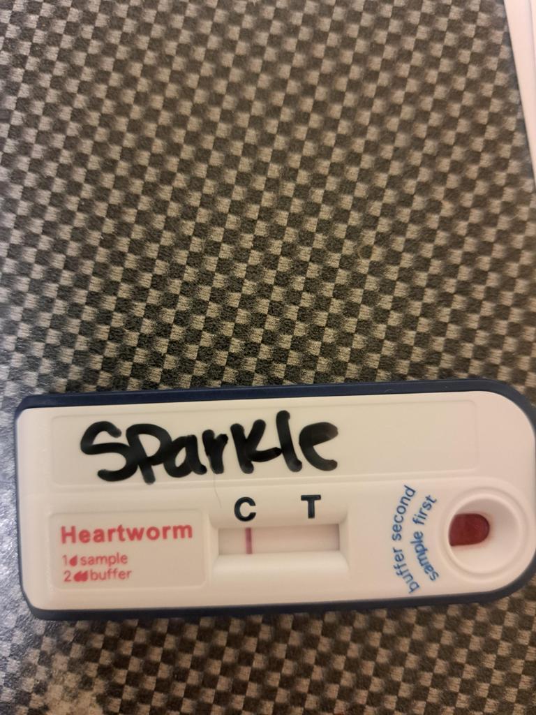SPARKLE