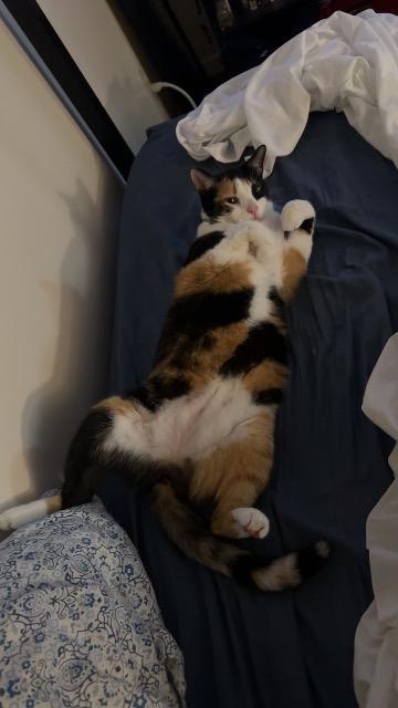 Olivia