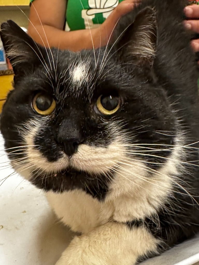 TUX
