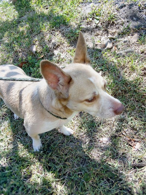 Sadie thumbnail 2