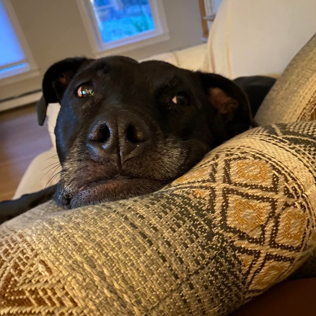 Luna