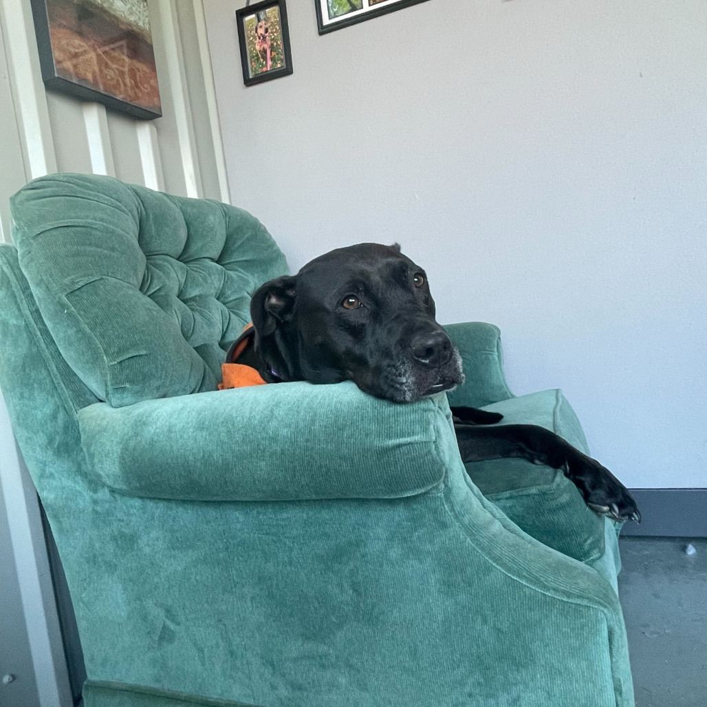 Luna