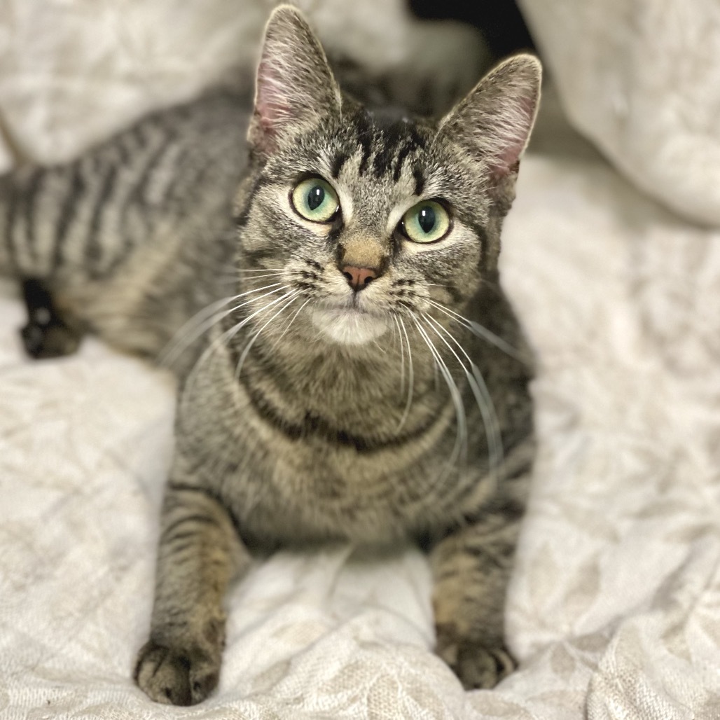 Delilah