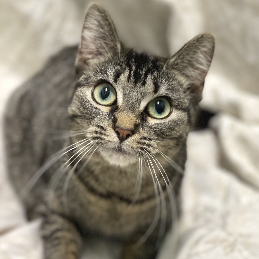 Delilah
