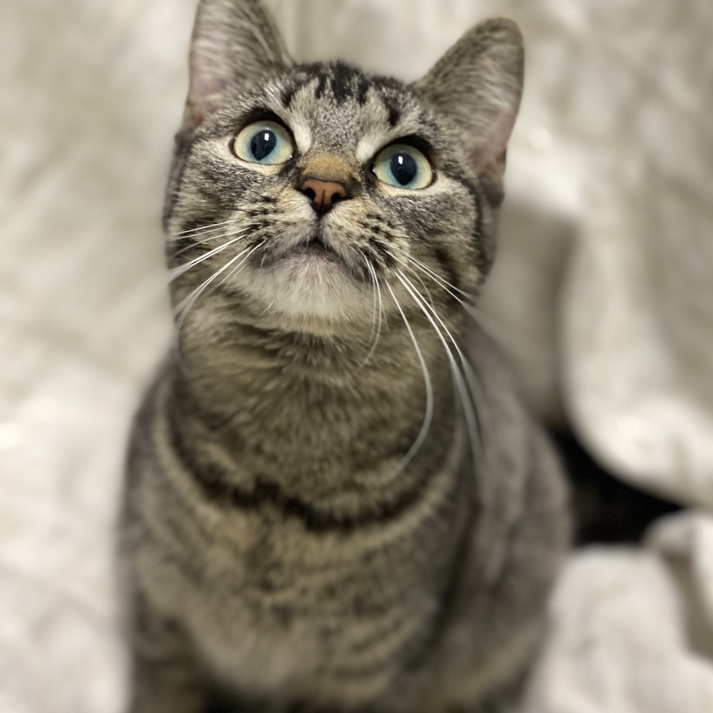 Delilah