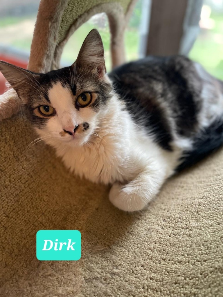 DIRK