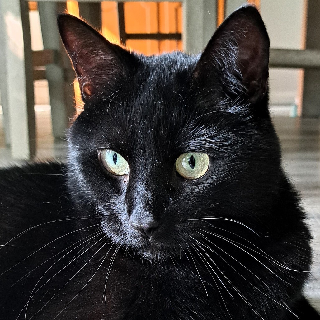 Rosie