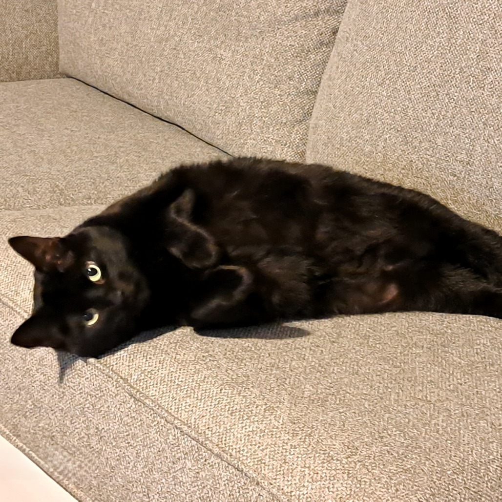 Rosie