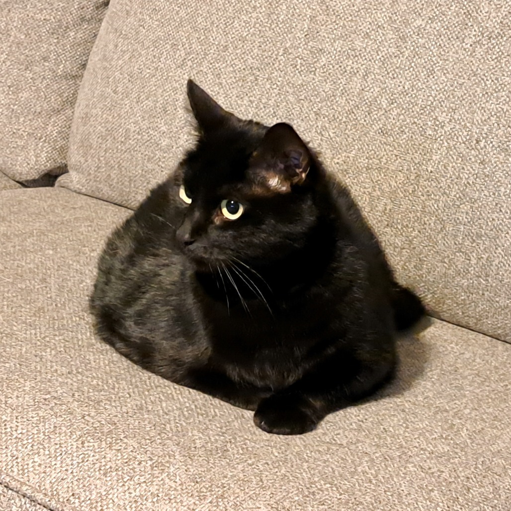 Rosie