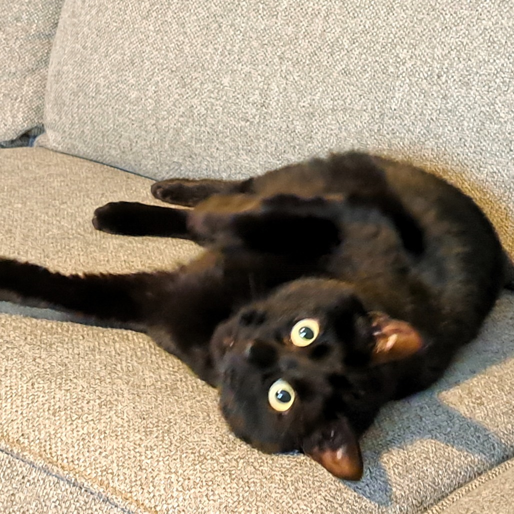 Rosie
