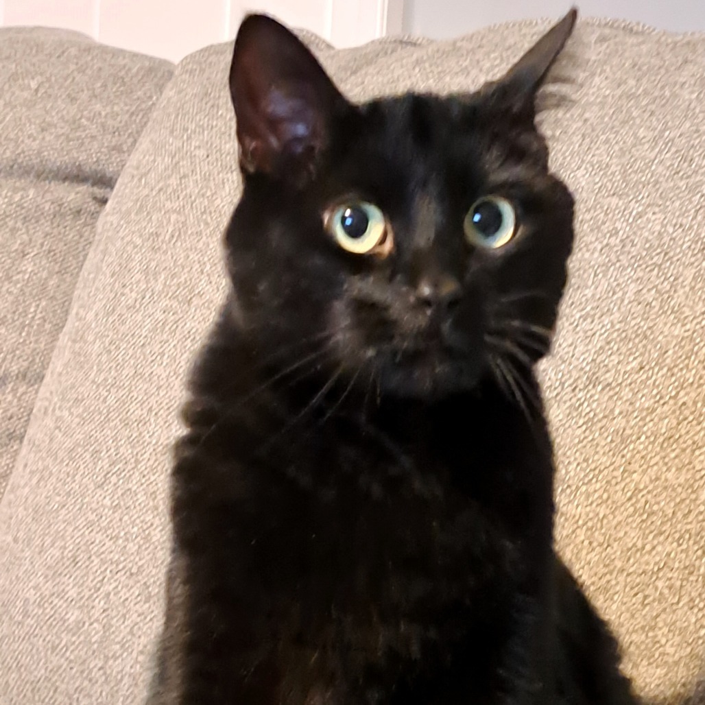 Rosie