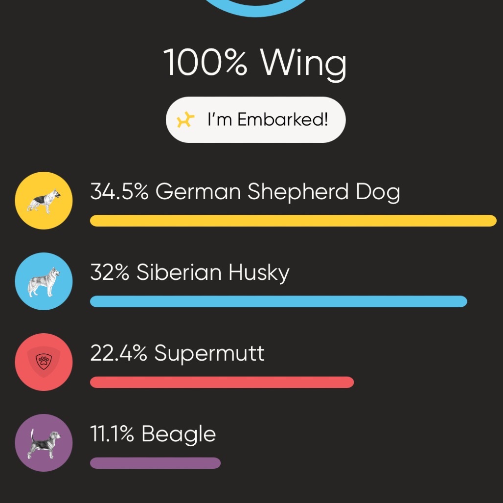 Wing