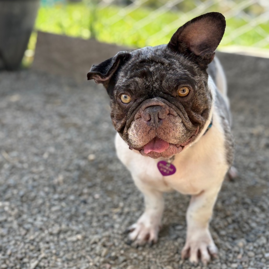 Elizabeth Ann /A1031131