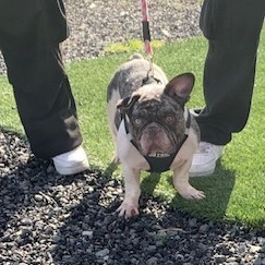 Elizabeth Ann /A1031131