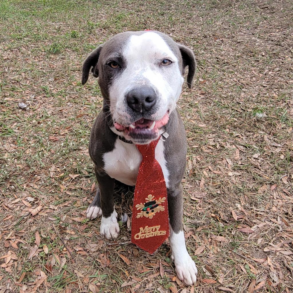 Rosco