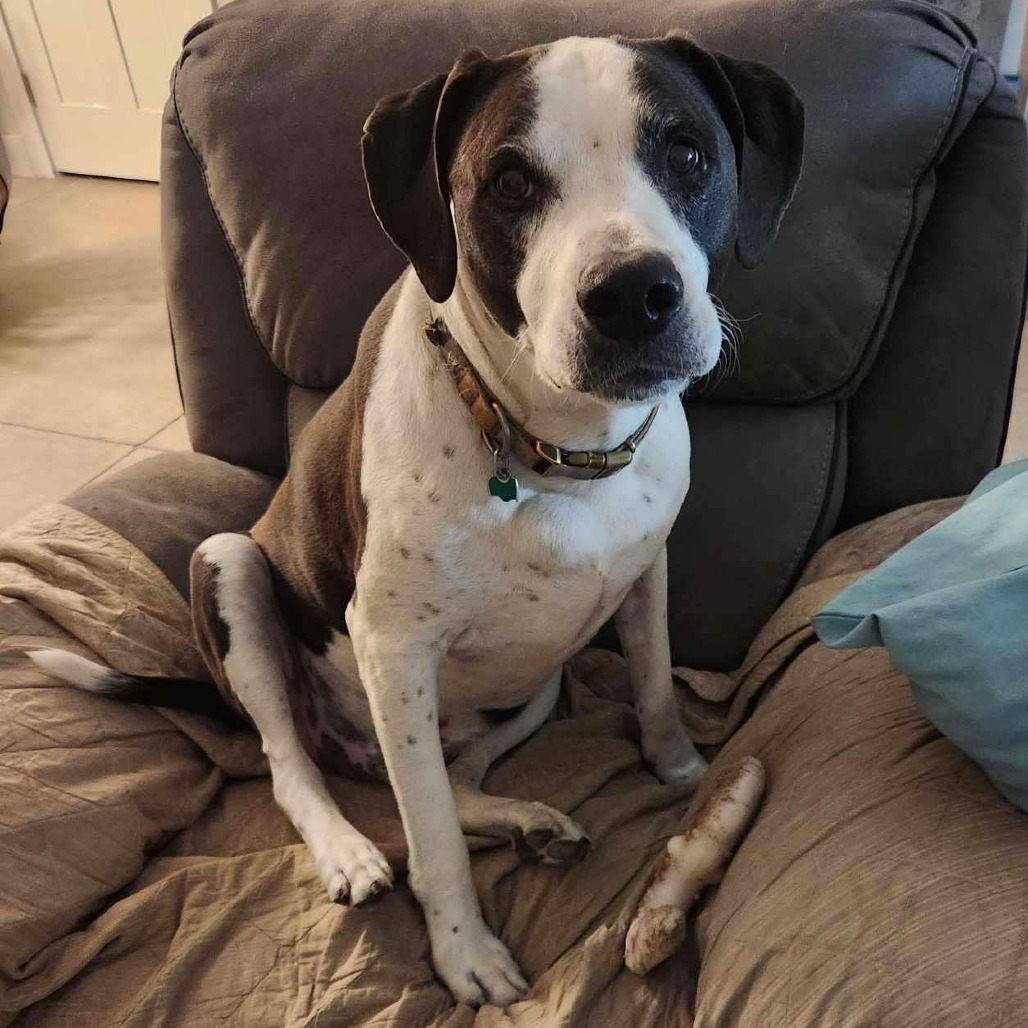 Ruger