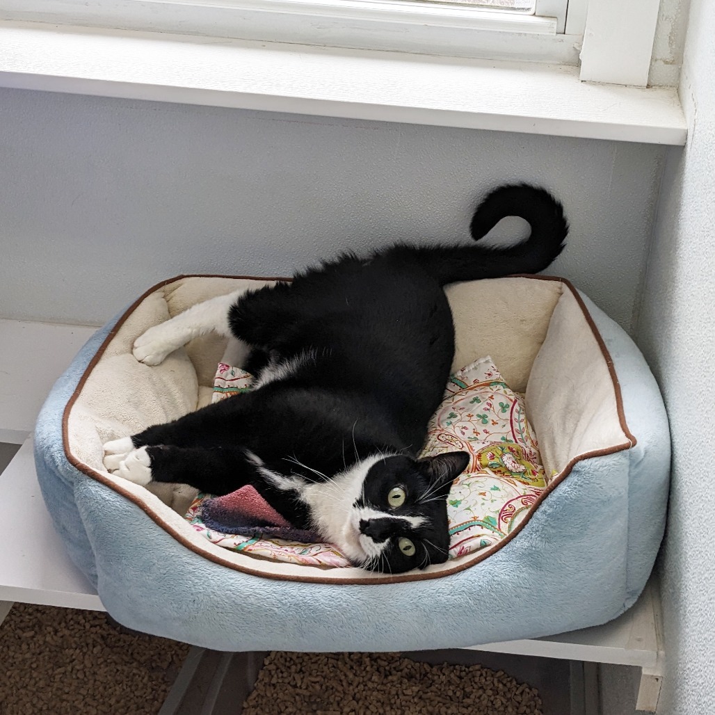 Beverly ~Petco~