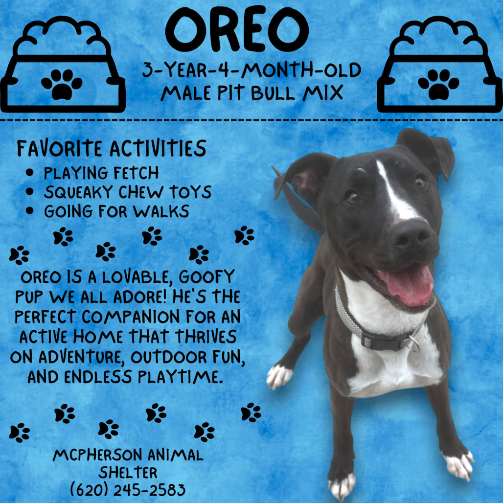Oreo