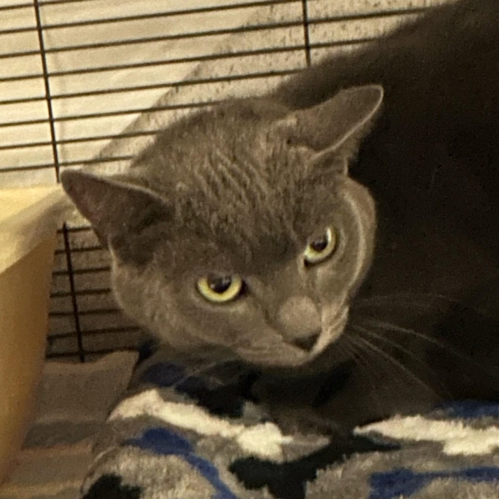 Nadia