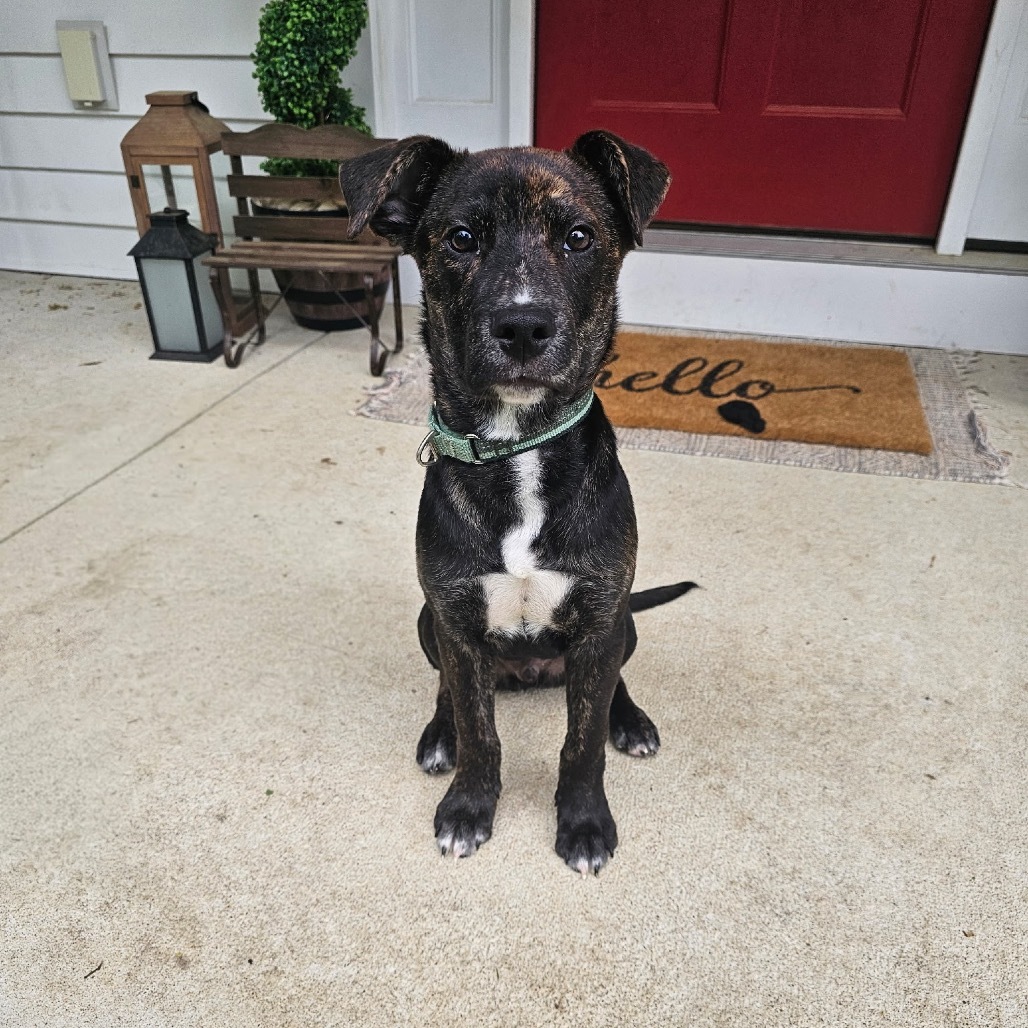 Remus