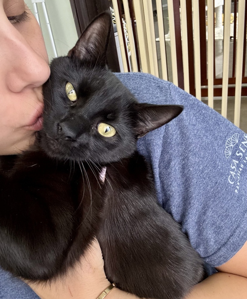 Binx