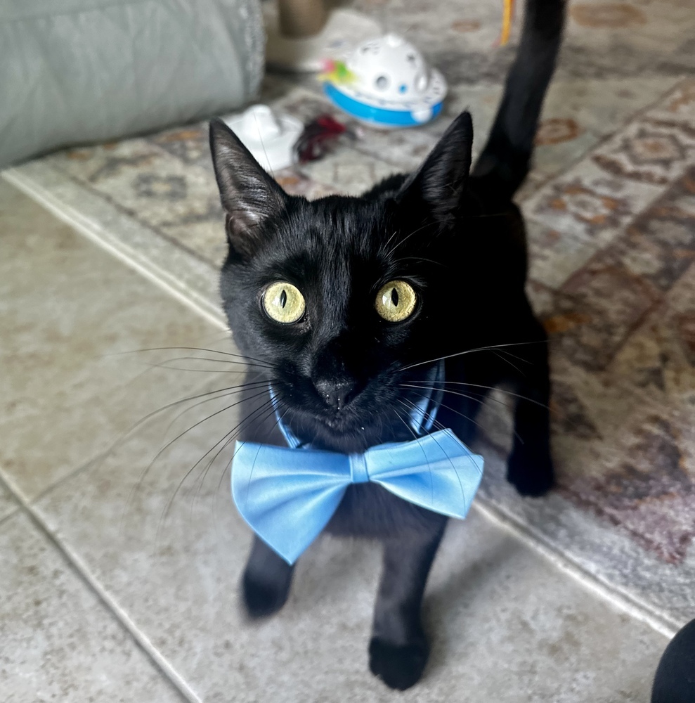 Binx