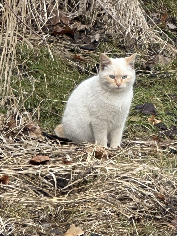 Clarence