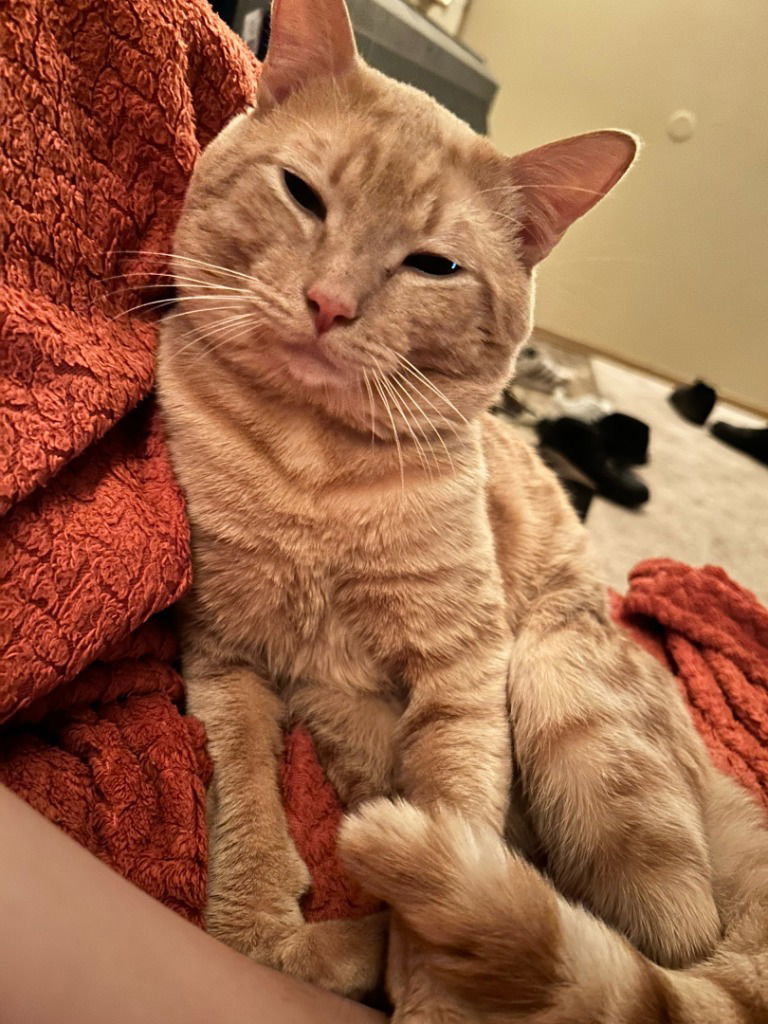 Dewey