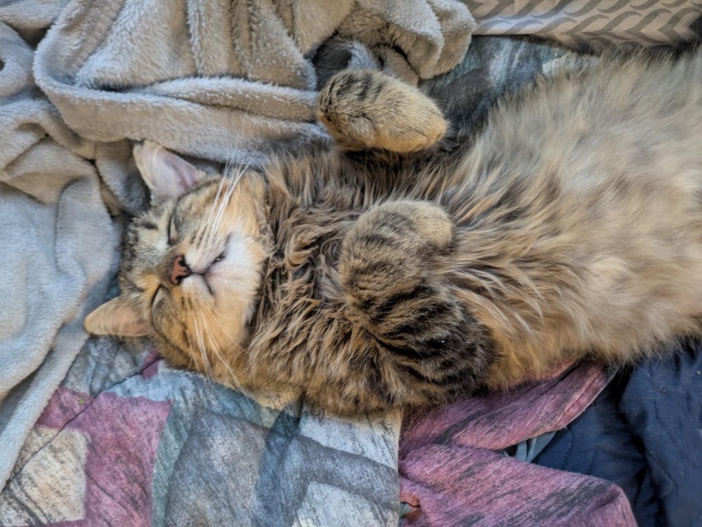 Sokka