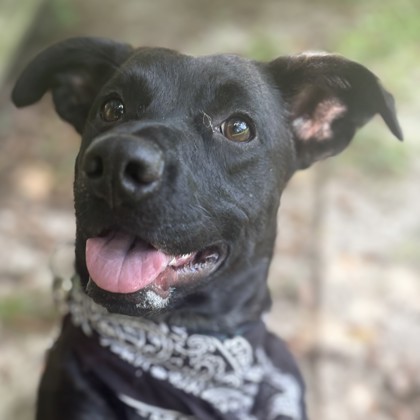 Oskar