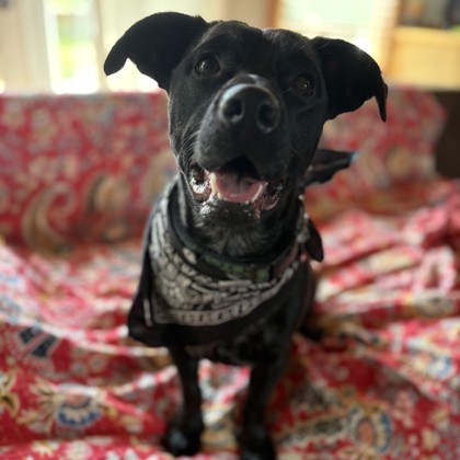 Oskar