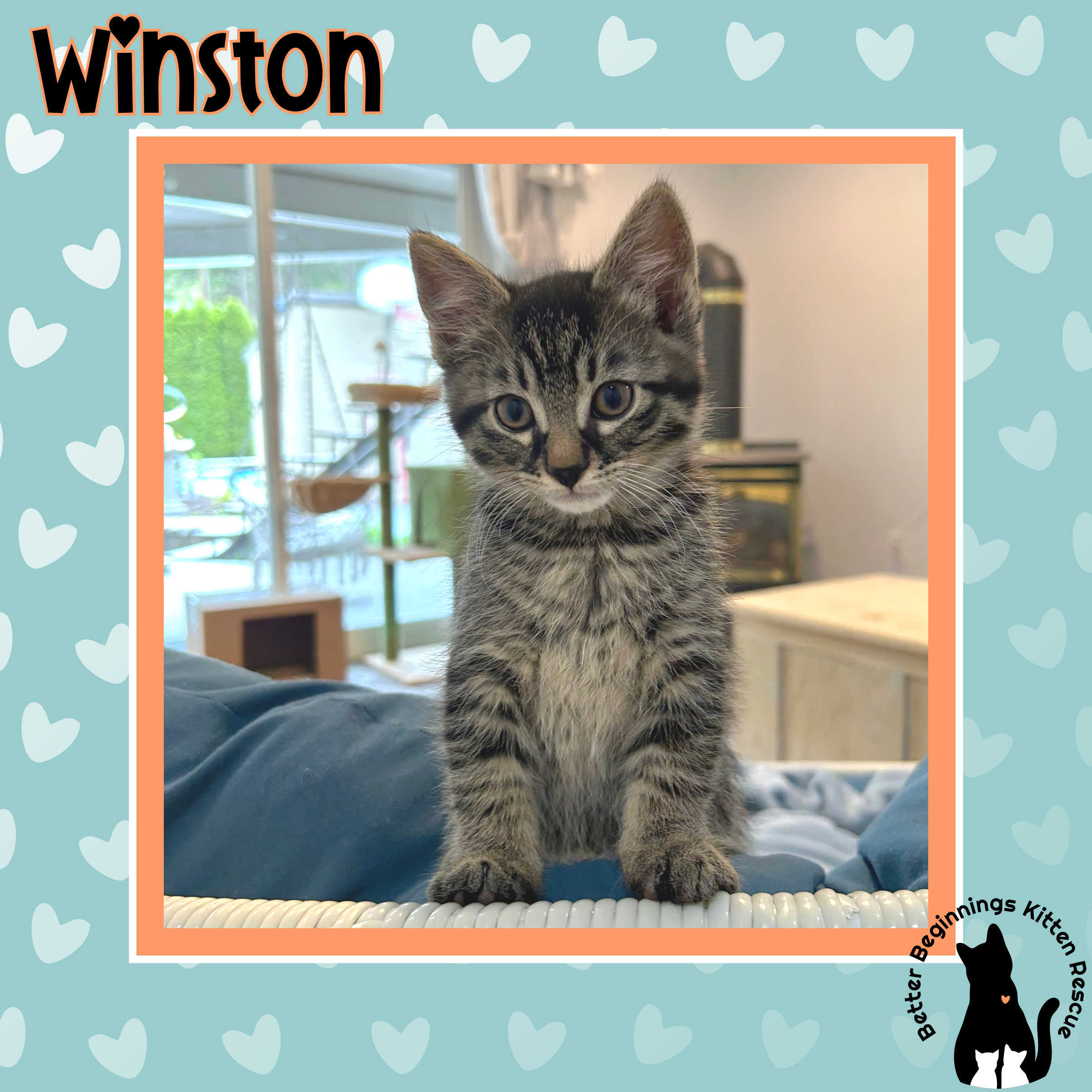 Winston