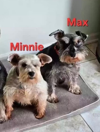 Minnie (must be adopted with Max)