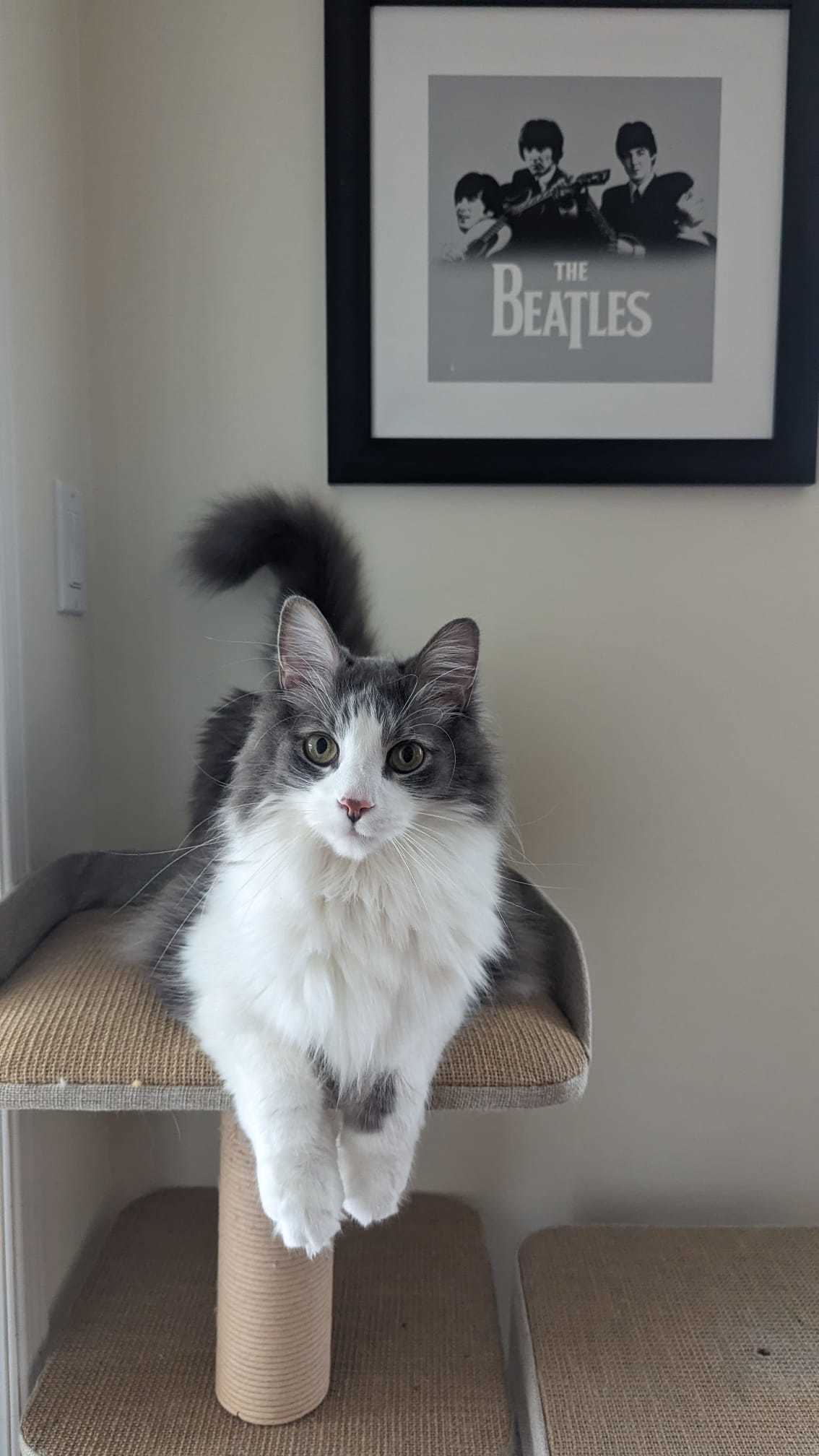 Louie