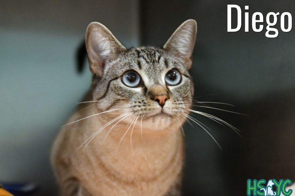 Diego