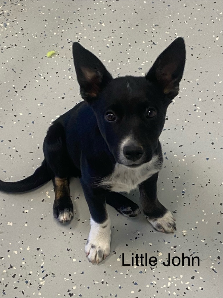 Little John