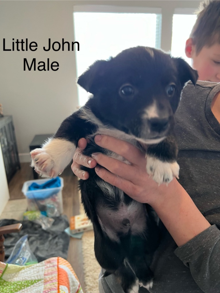 Little John