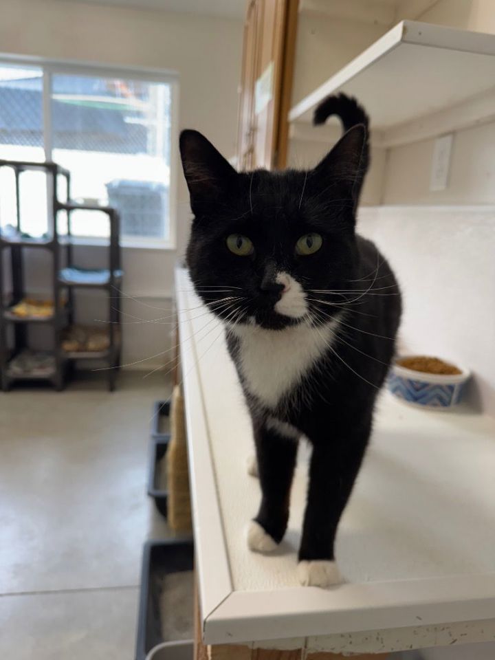 Luke - Pending Adoption 1