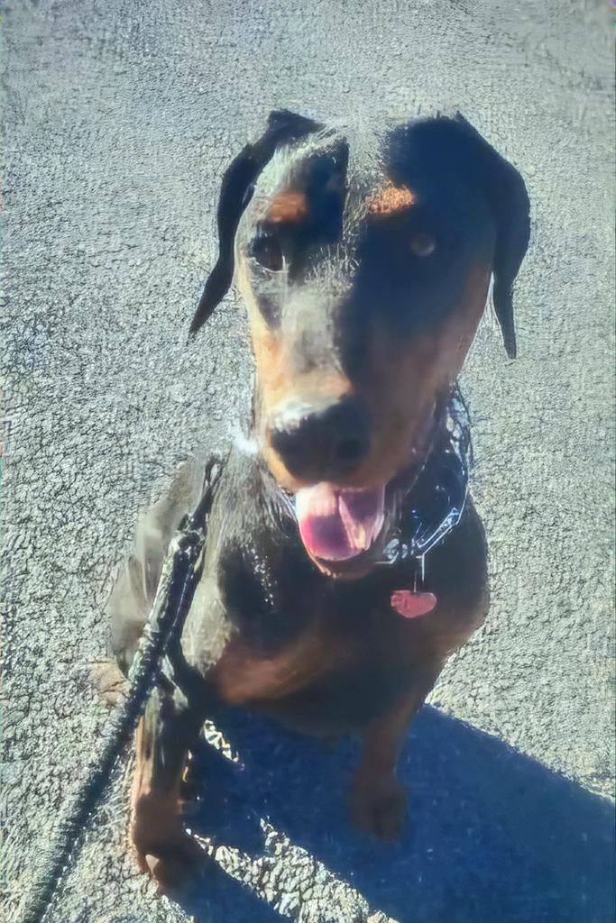 Bubba