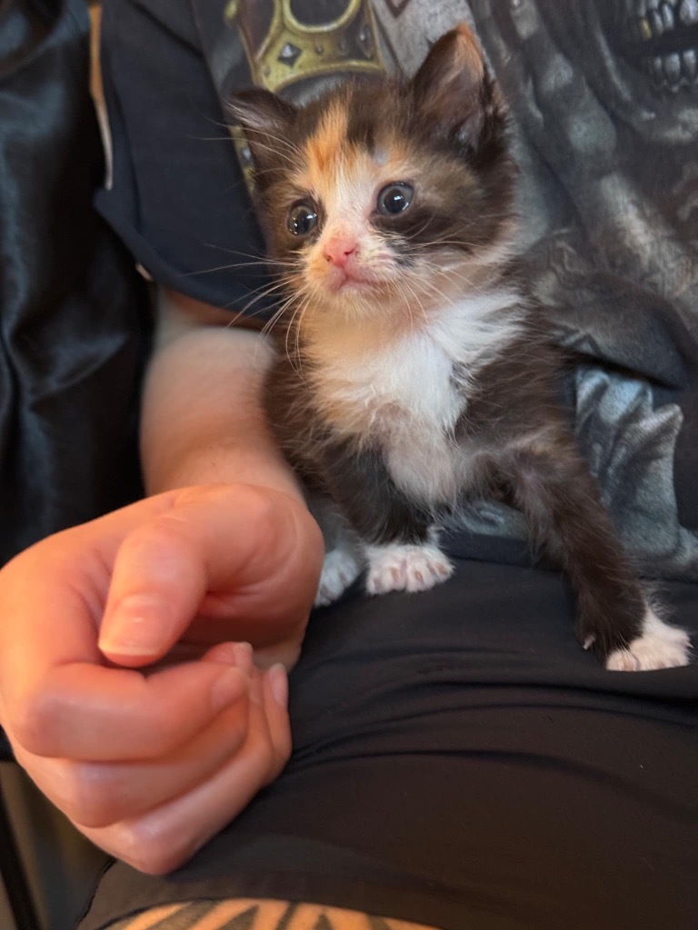 Cleo