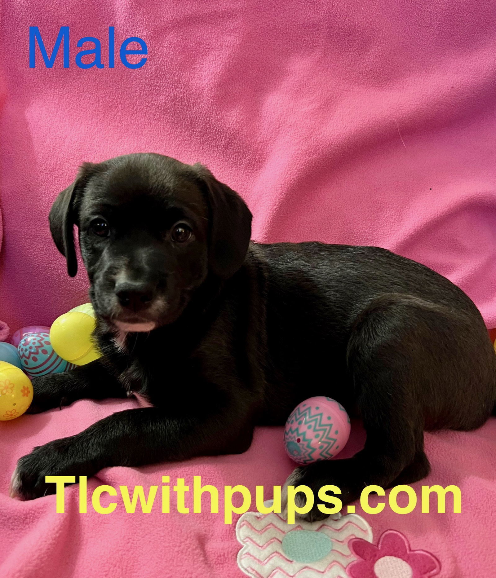 ! Max