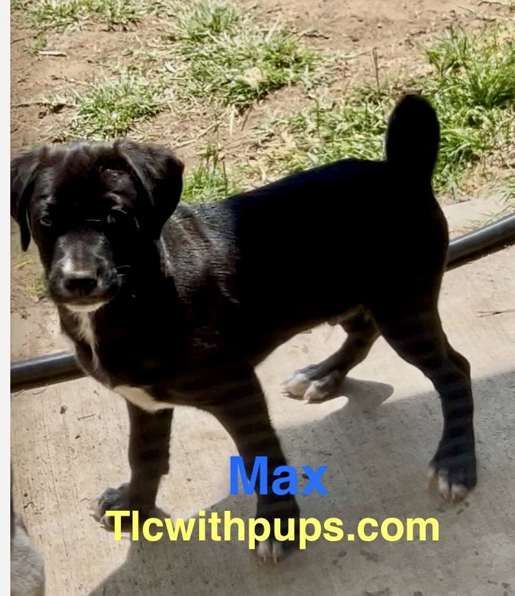 ! Max