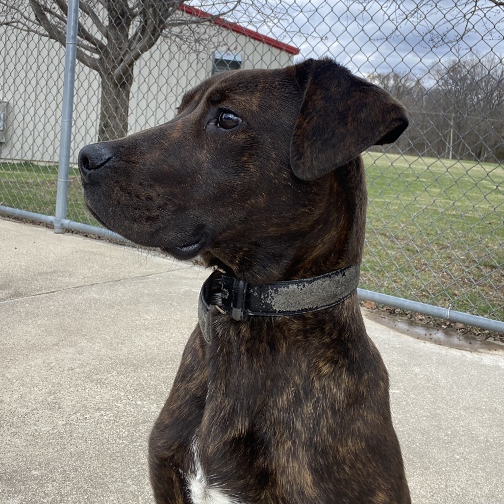 Max