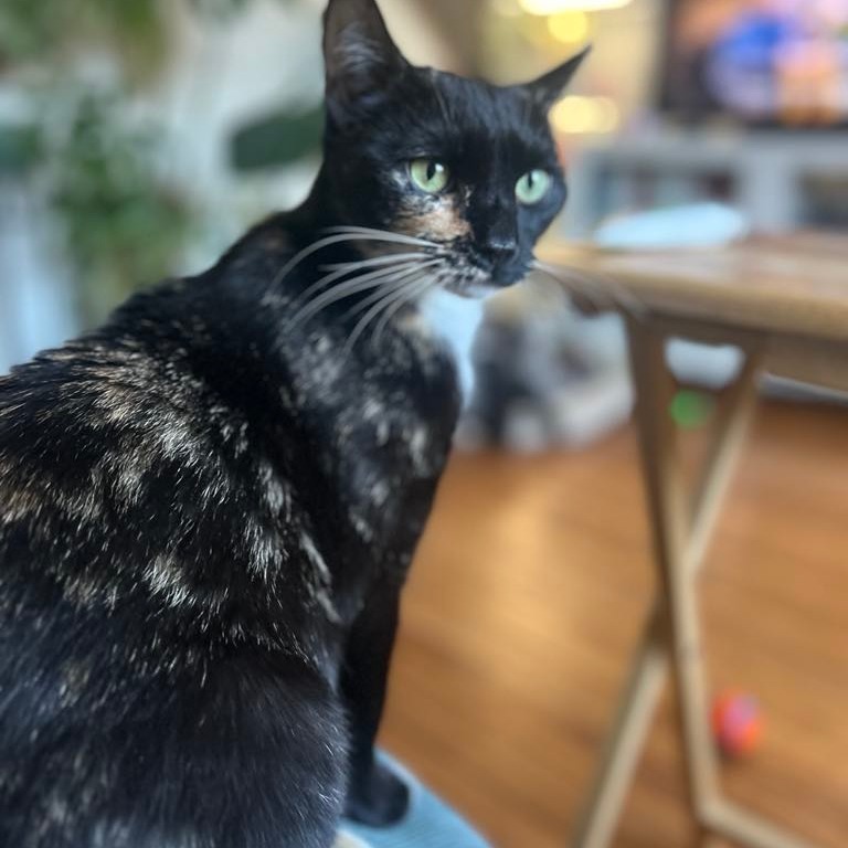 Margaret (Maggie)