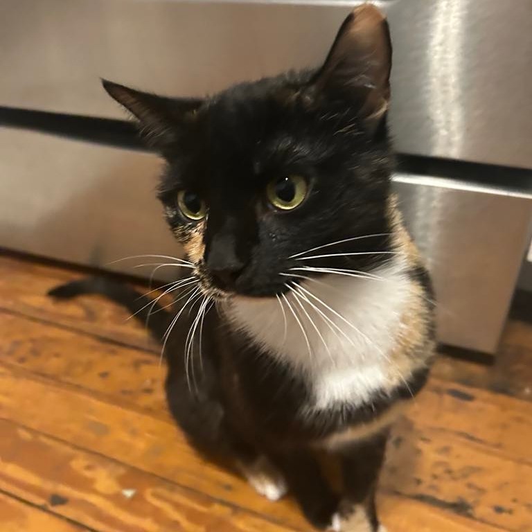Margaret (Maggie)