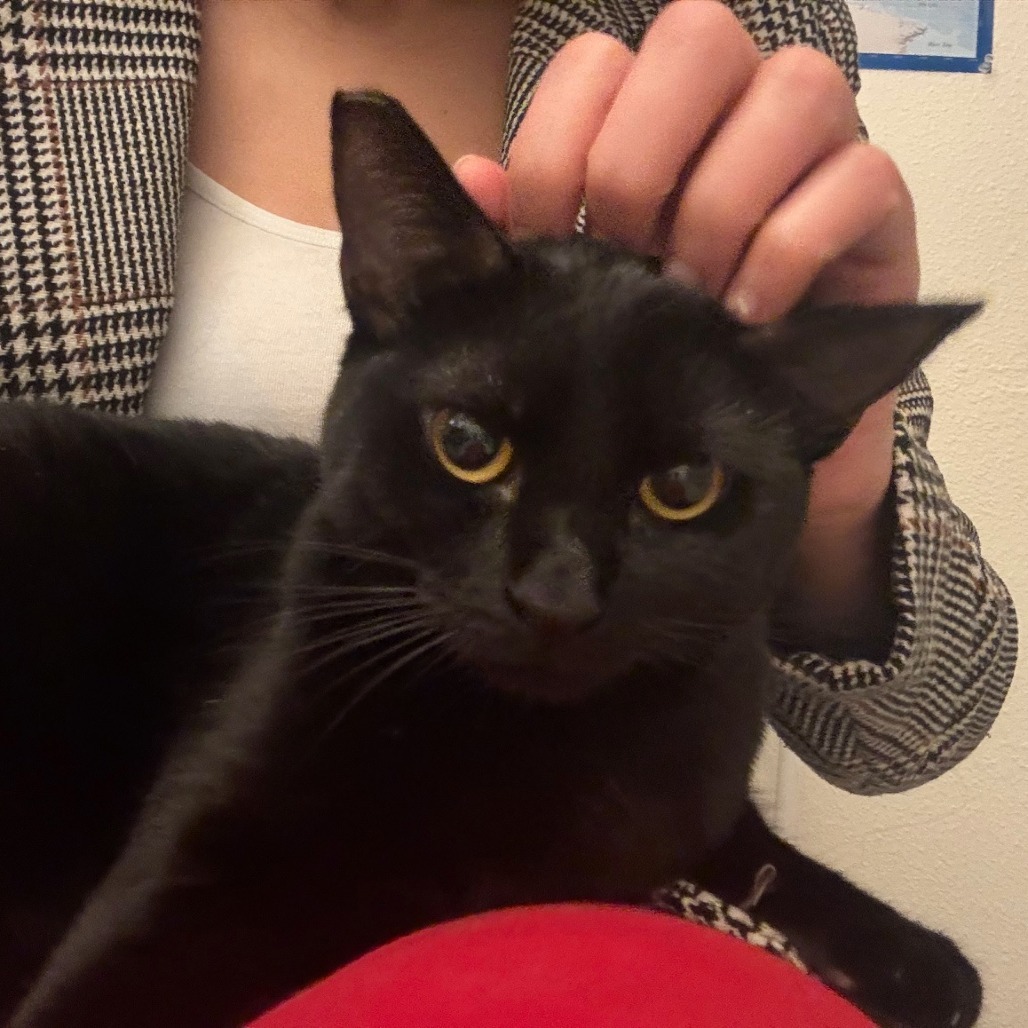 Zozo