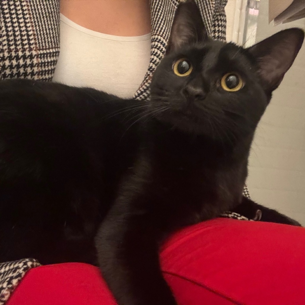 Zozo
